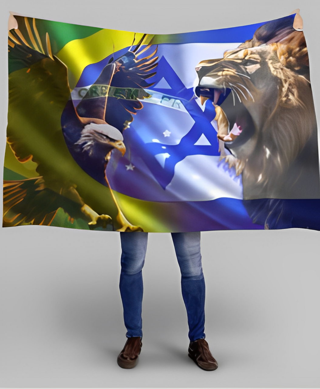 Bandeira - Israel e Governo